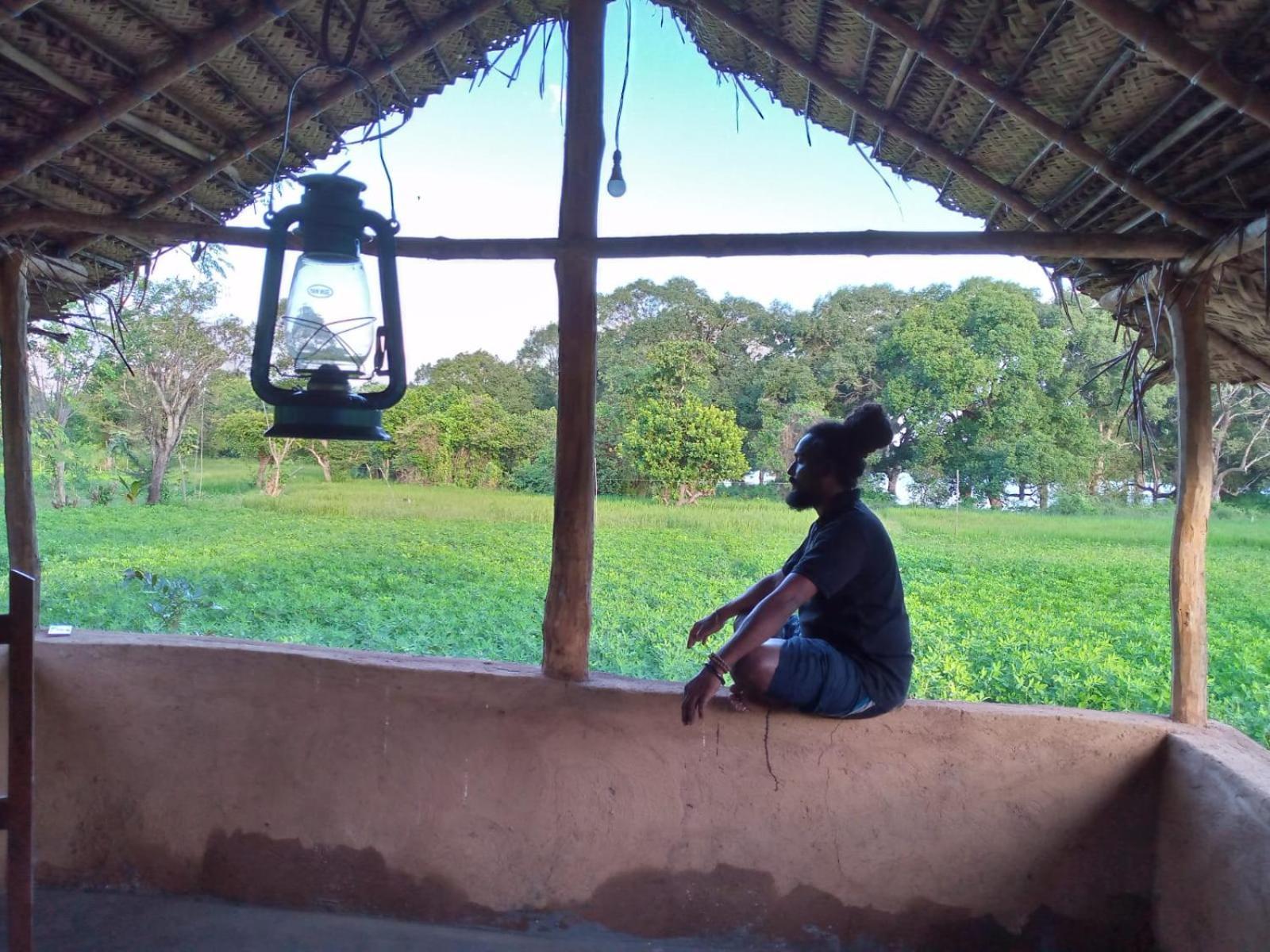 Ethili View & Safari Camp * Уэллавайя