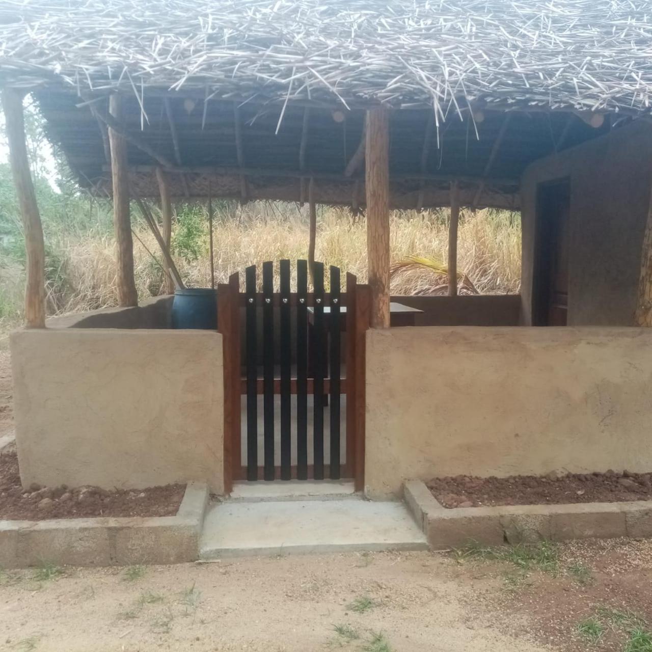 Ethili View & Safari Camp Проживание в семье