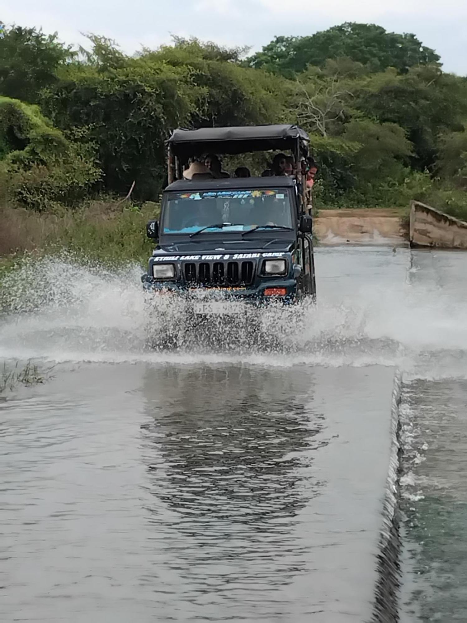Ethili View & Safari Camp